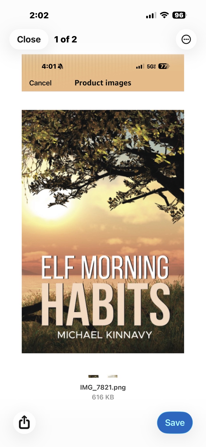 Elf Morning Habits book cover by Michael Kinnavy